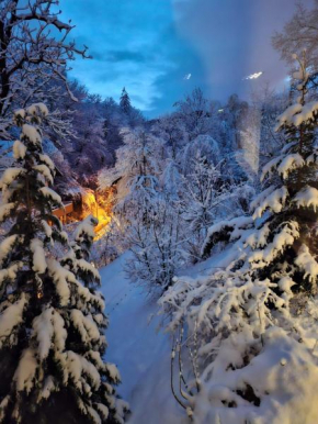 GreenHill Brasov